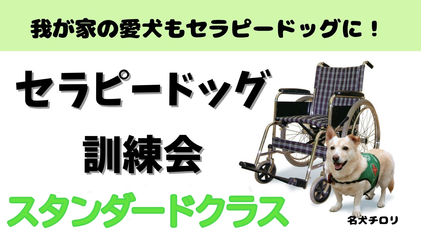 自由な犬 大木トオル / 一般財団法人 国際セラピードッグ協会 | Chuo-ku Tokyo