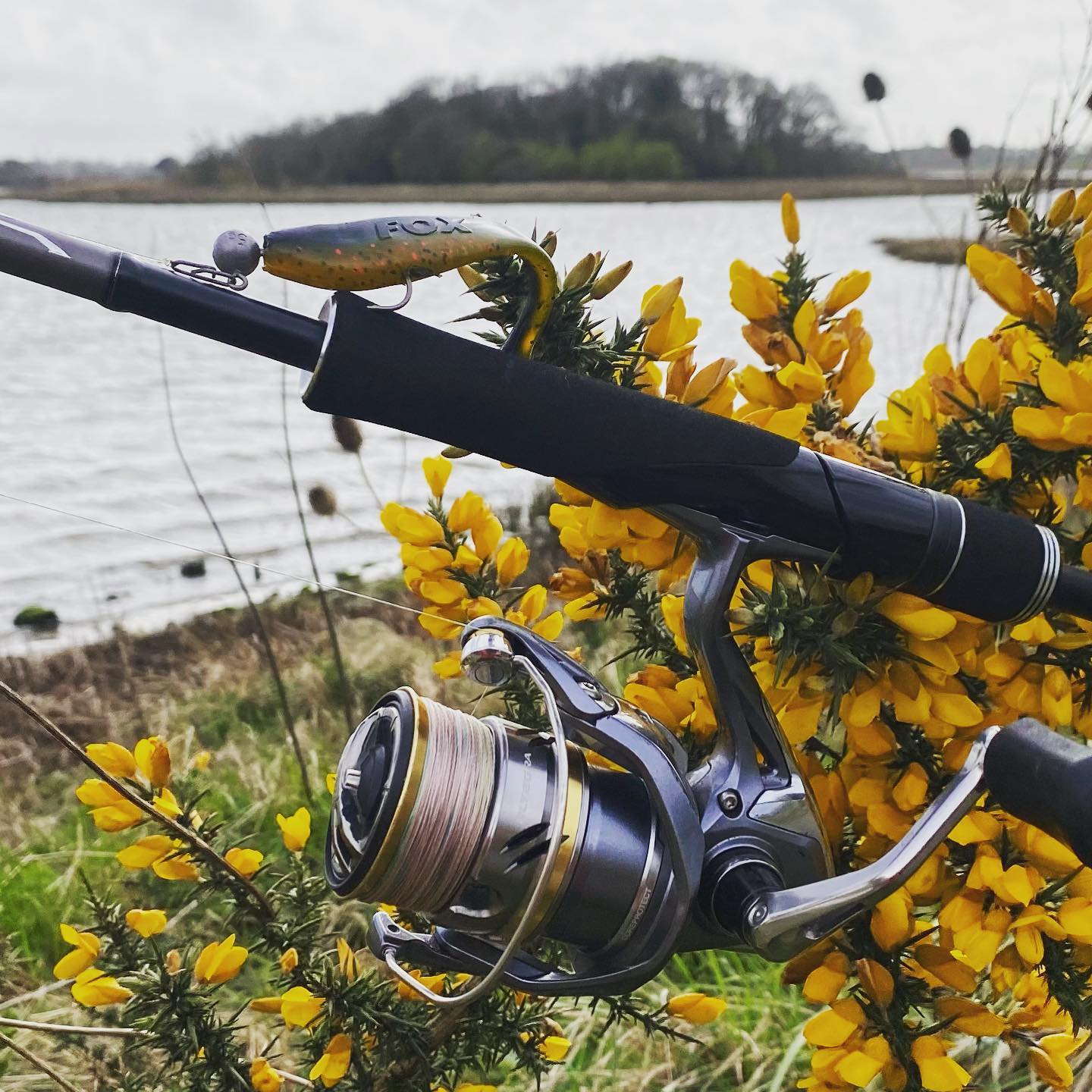 fssc70 tsunami five star spin combo TFSS-661MH Spinning Rod The one bearing design Color:Green Chartreuse Saltist Hyper V2 Daiwa DirecShift Mechanism