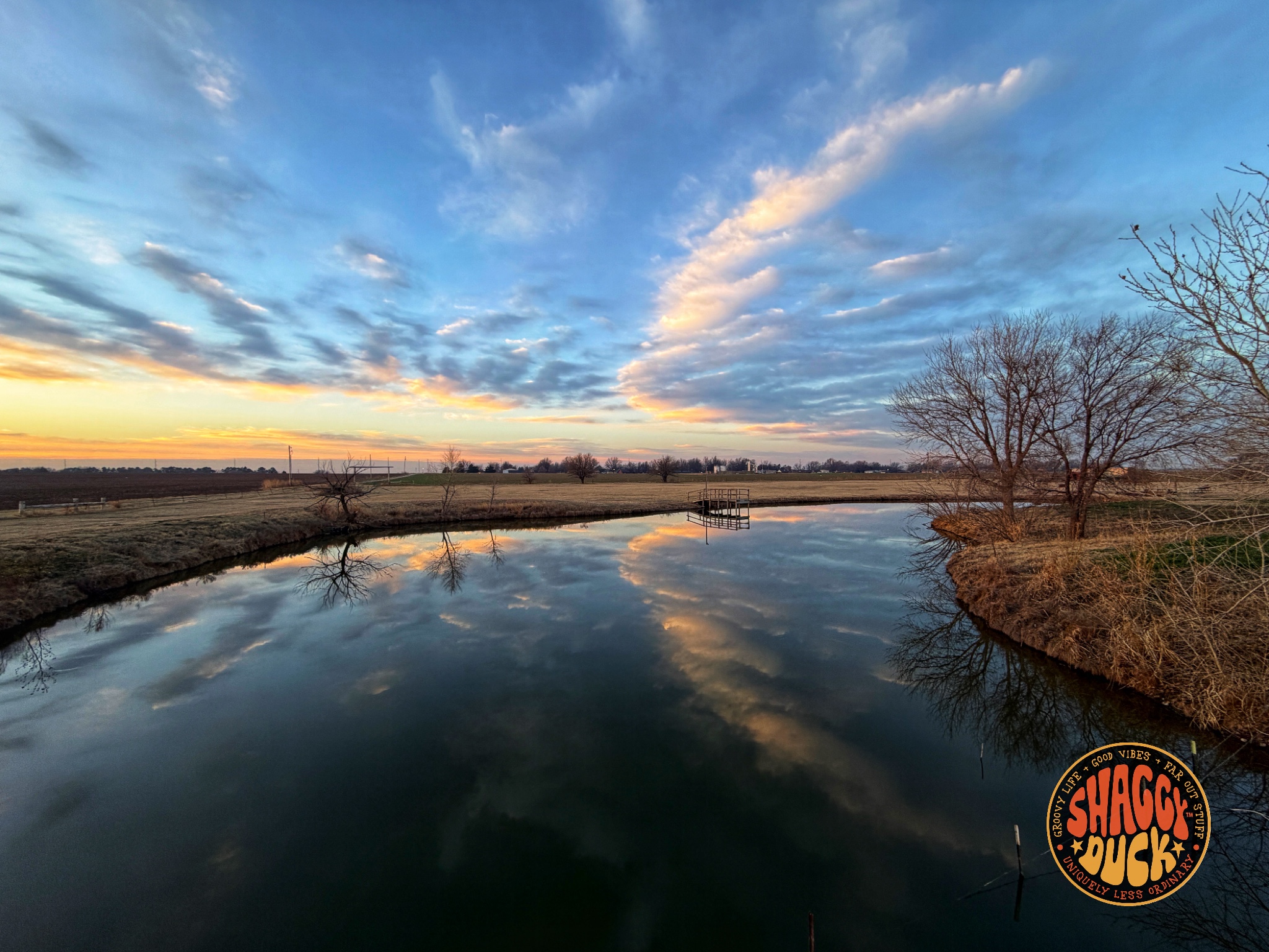 FRIDAY BUZZ: Today is February 20 - Northern Hemisphere Hoodie Hoo