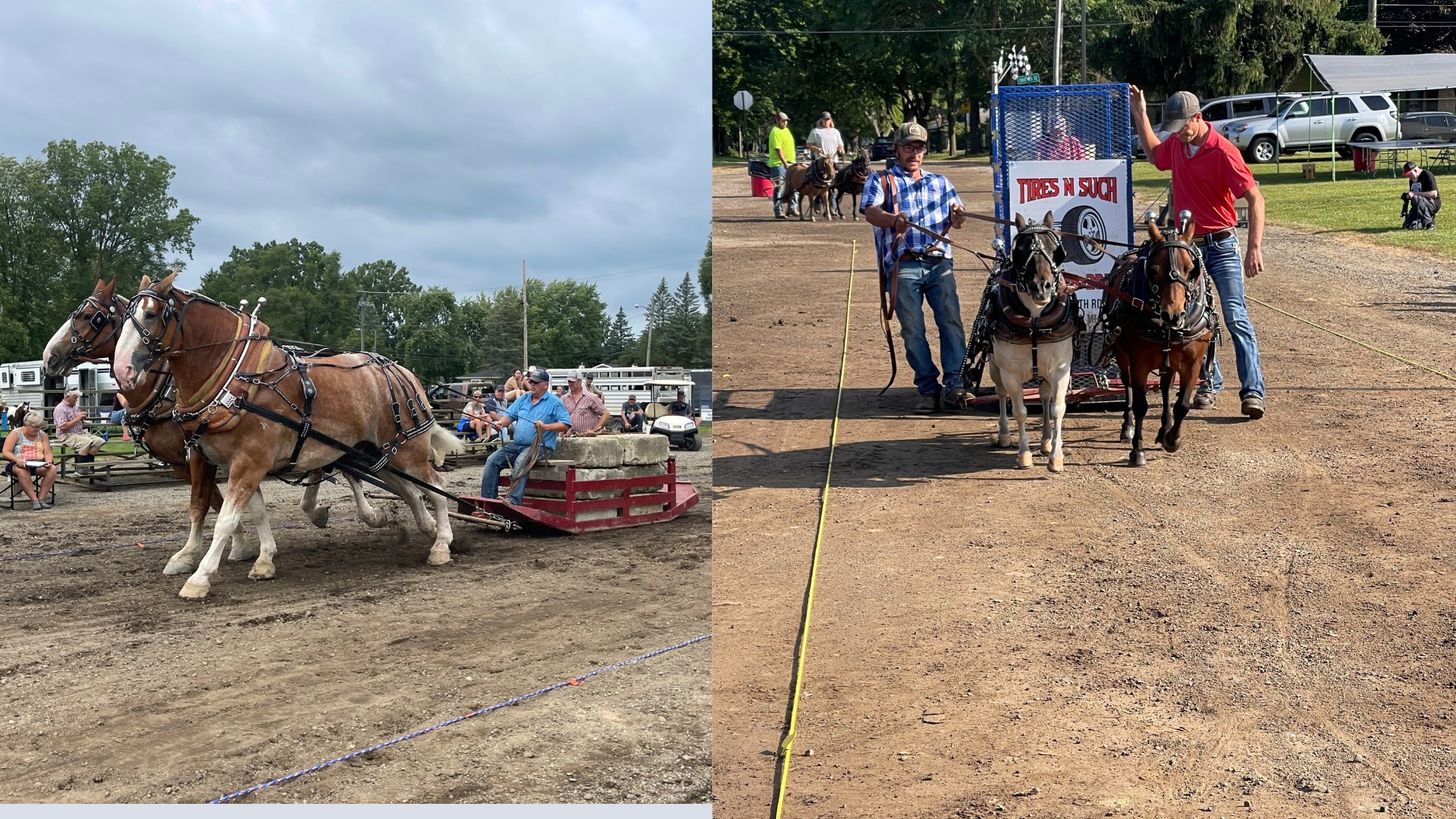 Mini & Draft Horse Pulls