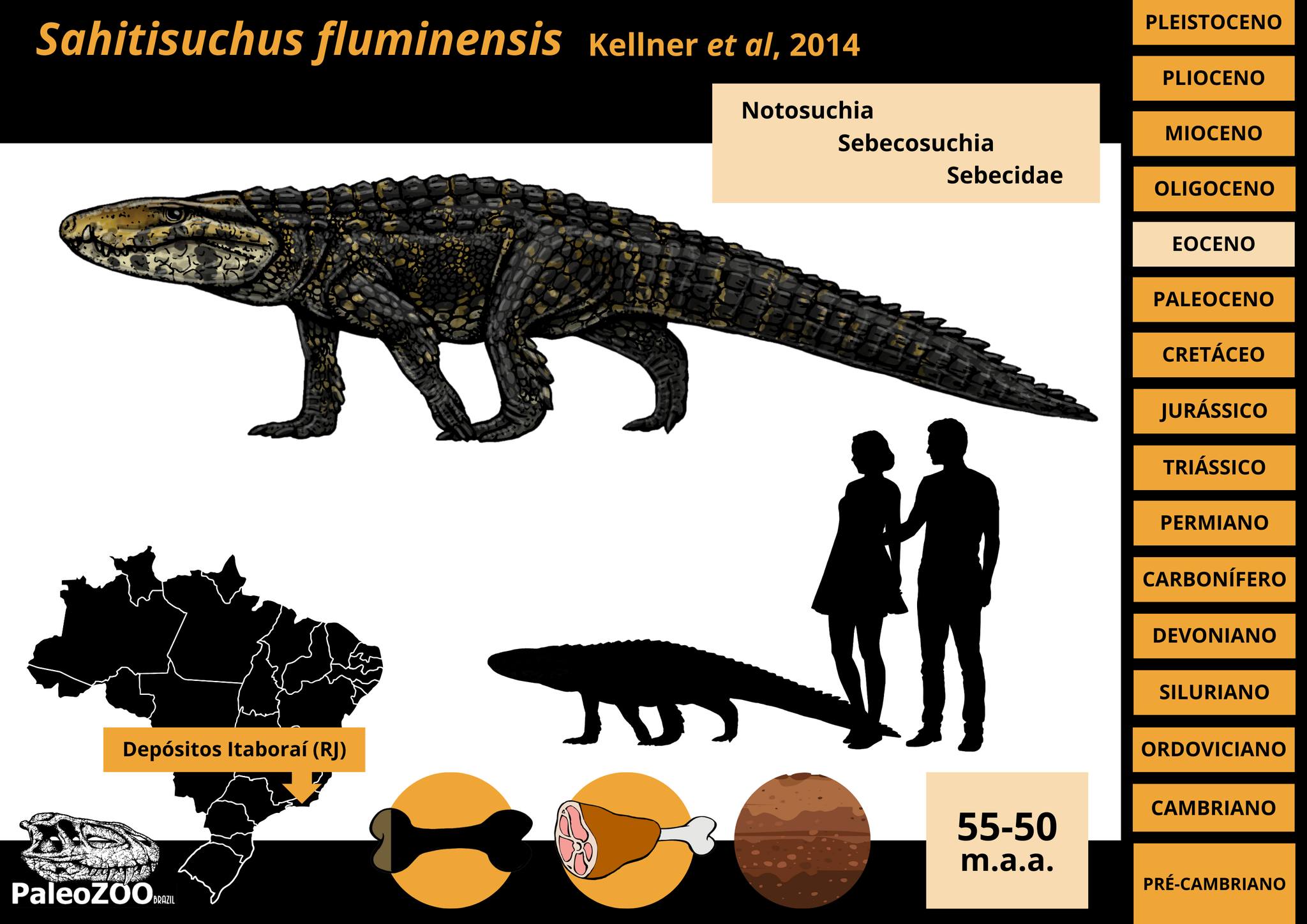 Paleozoo - Elaboramos o primeiro e único grande catálogo da fauna pré ...