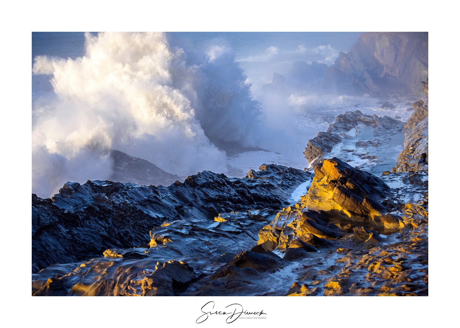 Take a look at my new blog post... - Susan Dimock Photography | Facebook
