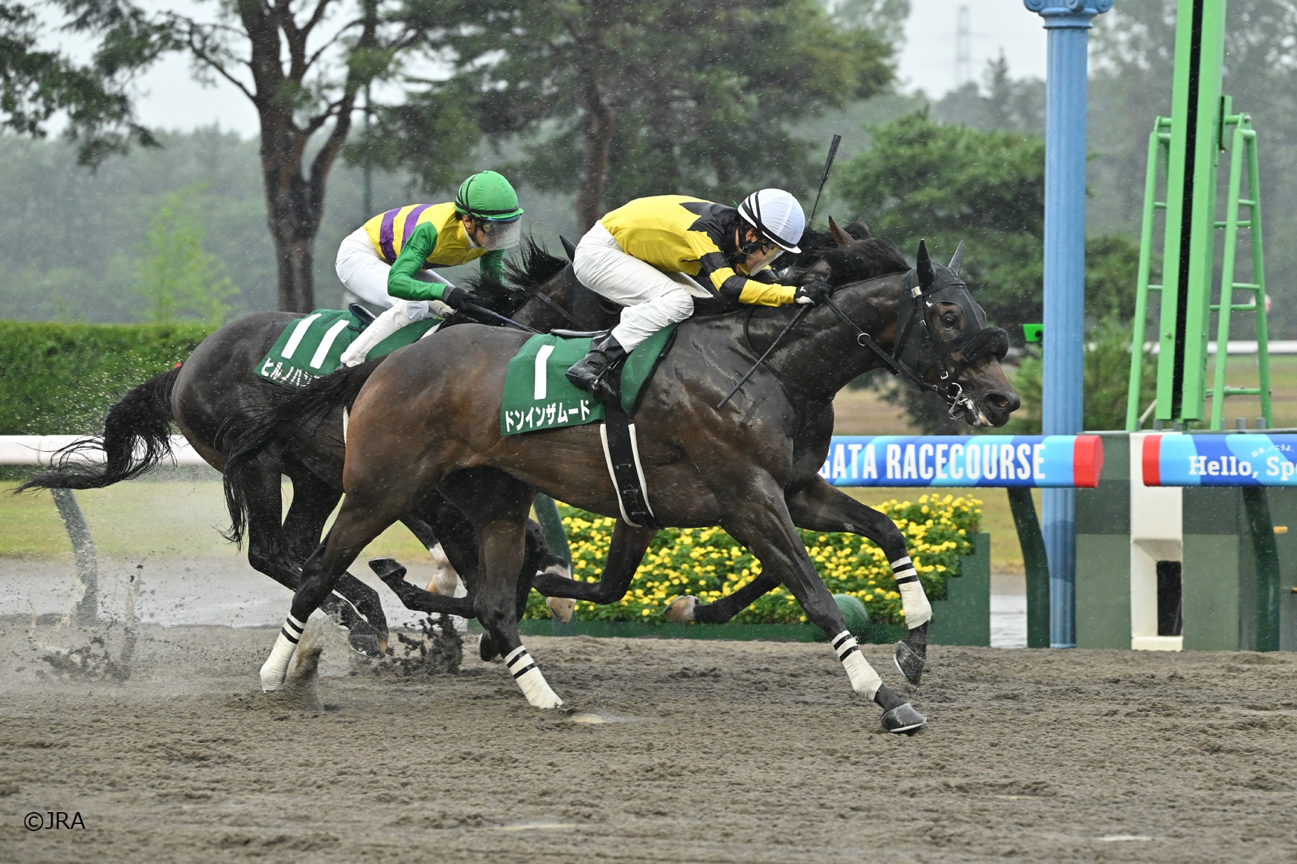 JRA（日本中央競馬会） - 2001年の宝塚記念(GI)を制したのは