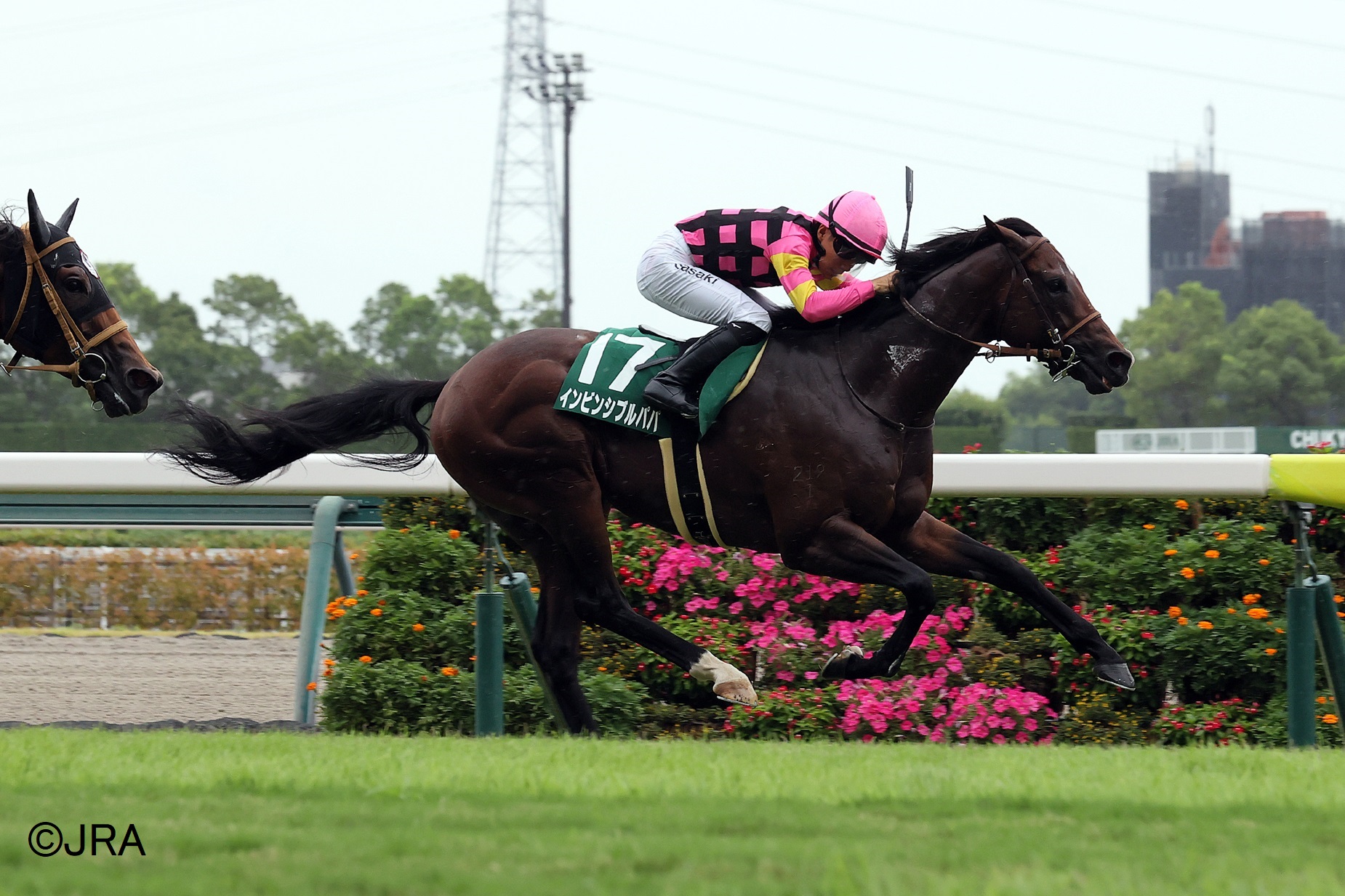 JRA（日本中央競馬会） - 2001年の宝塚記念(GI)を制したのは