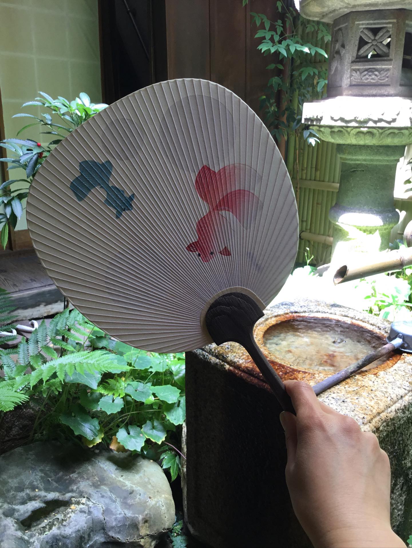 阿以 京団扇 柄 京うちわ 阿以波 特型両透うちわ 朝顔