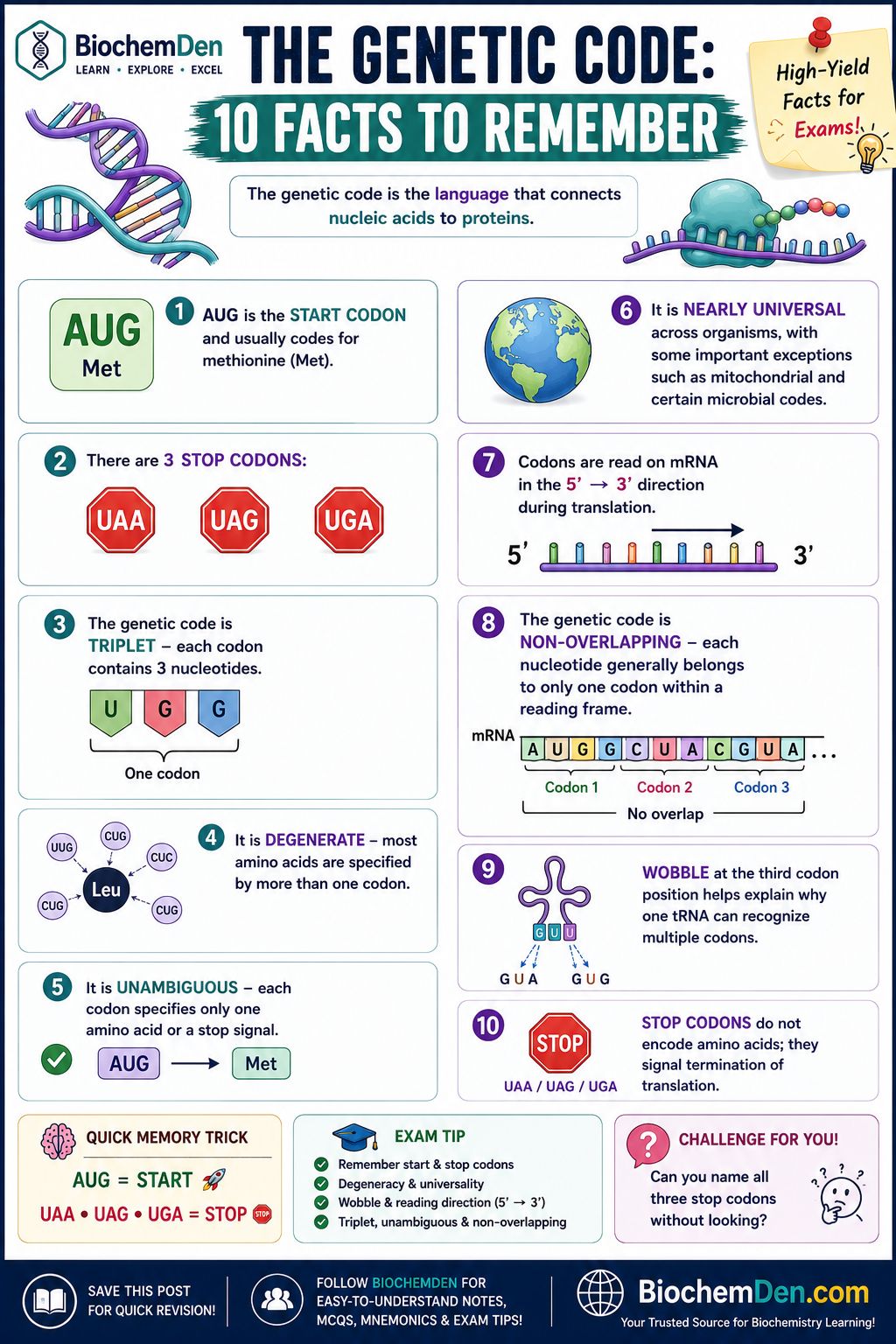 dna sequence that codes for glutathione Start and stop codons in protein synthesis VedixLife Liposomal Glutathione 500mg واقي شمس سيروم Potency:650 mg
