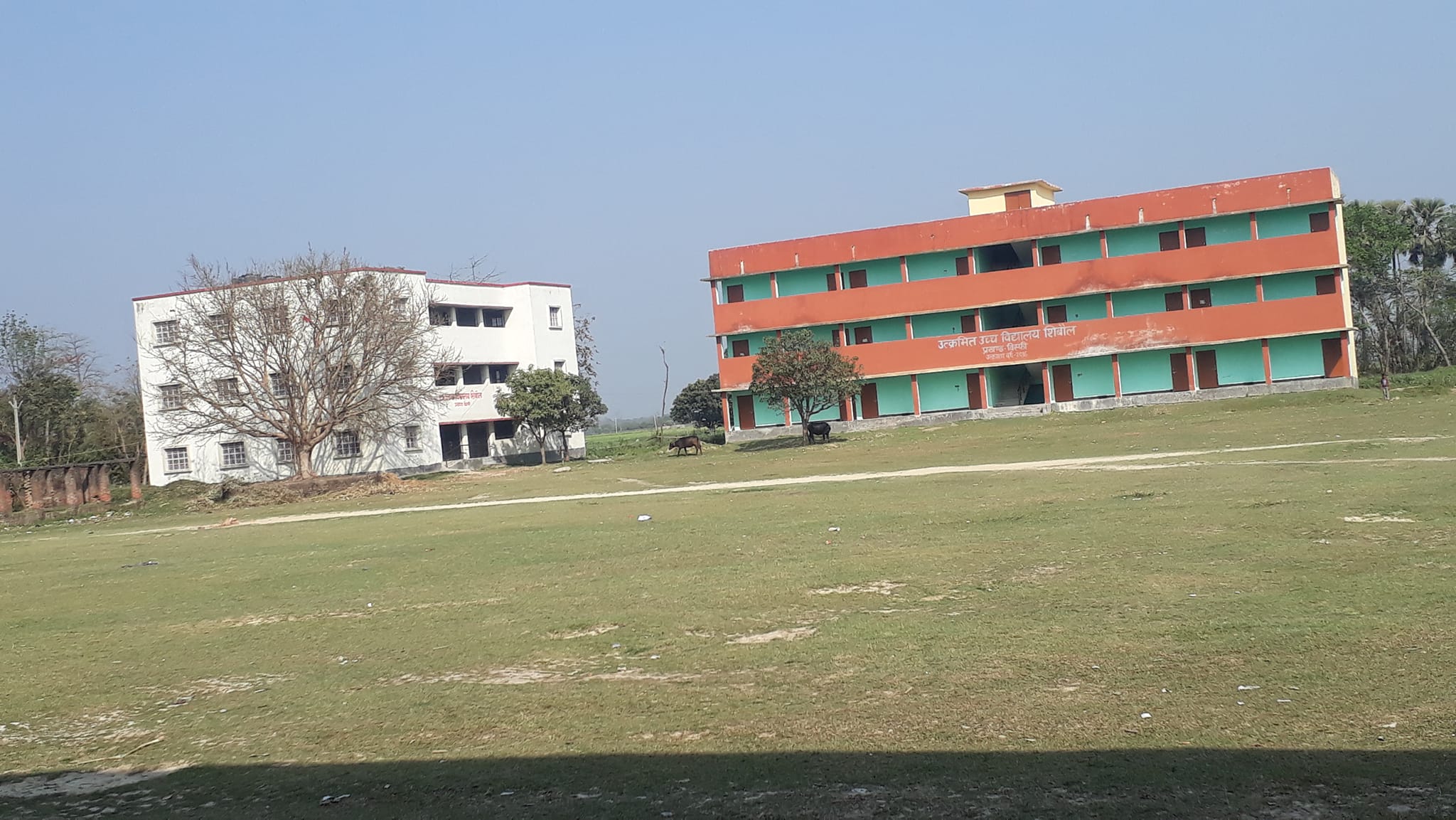 Sheru Bhai 🔥… | Sohan Kumar