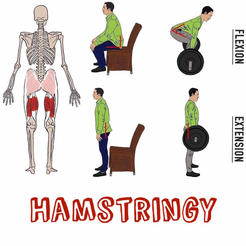 💥Zkrácené HAMSTRINGY má podle mě více než 50% populace... Ale zamýšleli ...