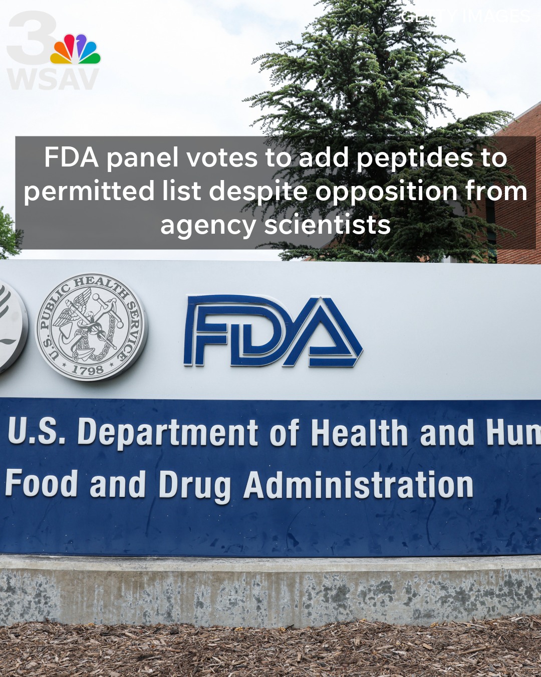 FDA panel votes to add peptides to permitted list despite opposition from agency scientists
