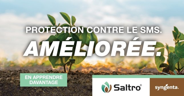 Bonjour - Saltro® est un traitement de semences fongicide pour soya ...