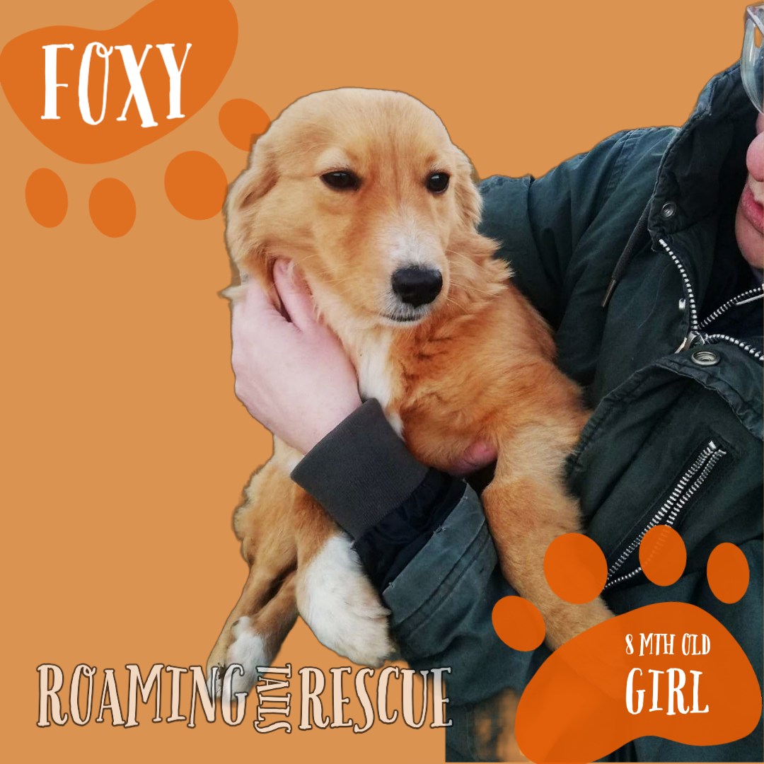 Roaming Tails Rescue