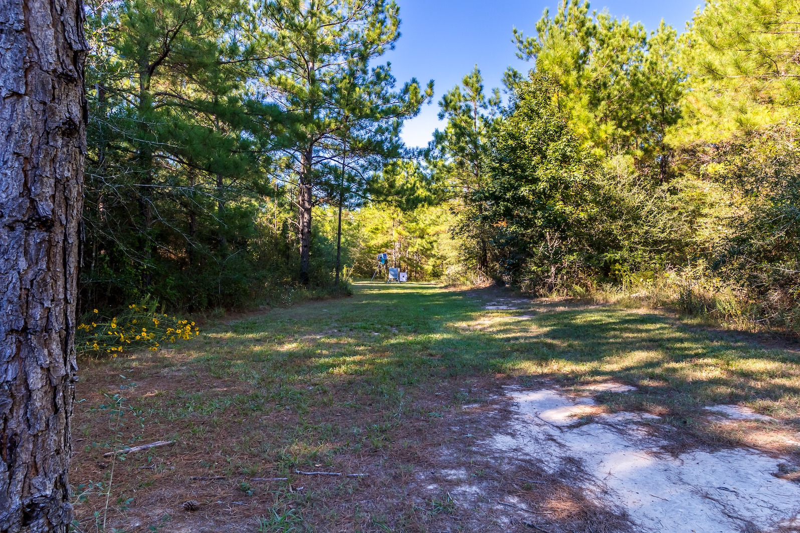 Texas - Duck Lake Ranch ⎮ 227 ± Acres Duck Lake Ranch is a 227± acre ...