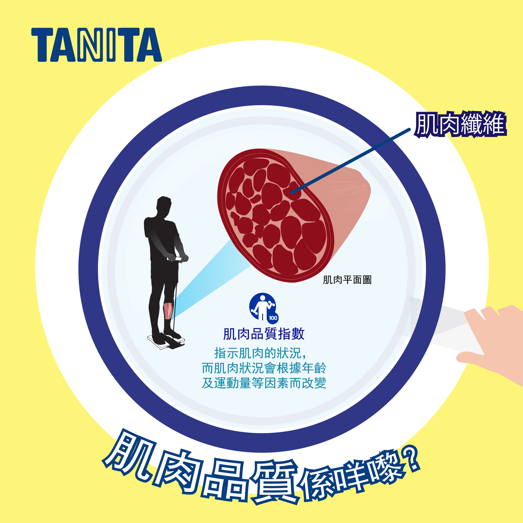 Tanita 香港 Pagina Inicial Facebook