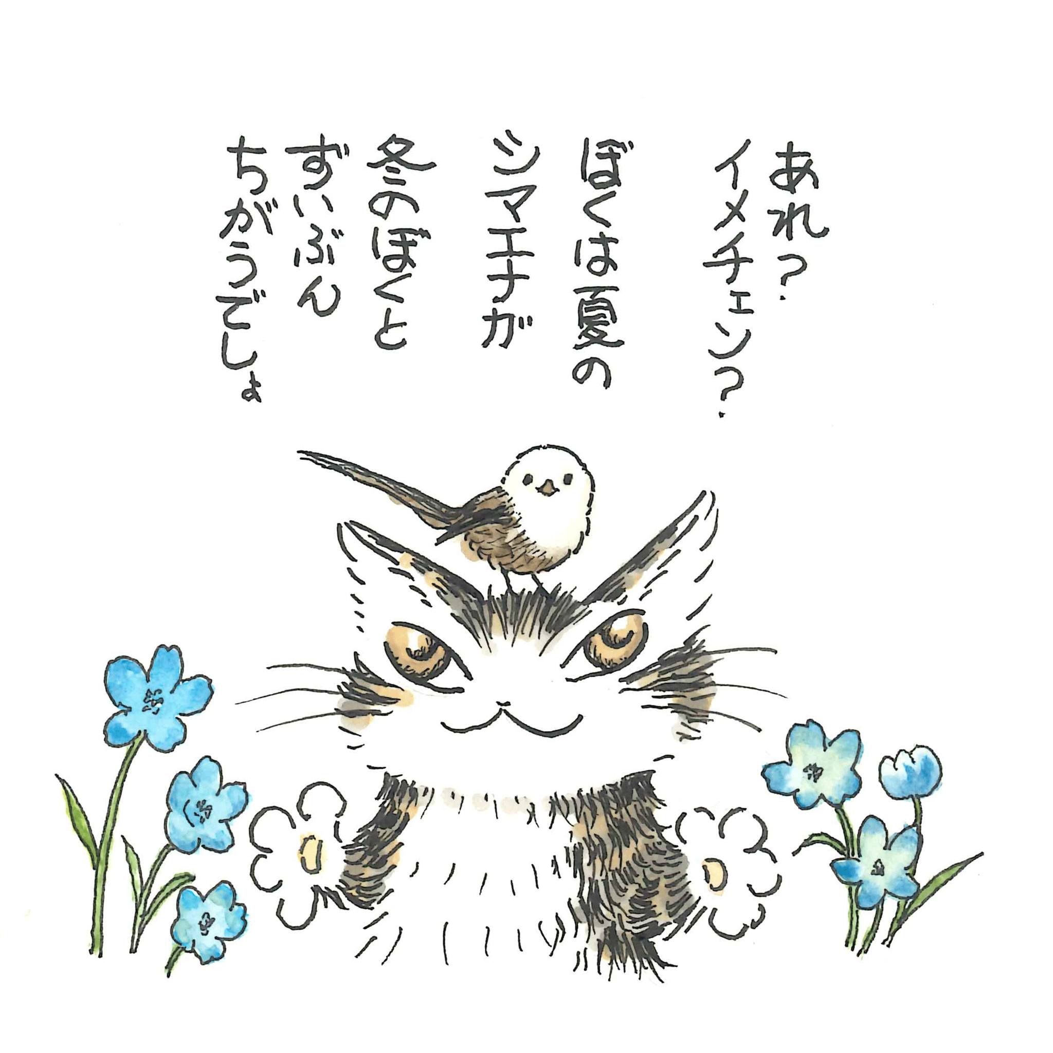 わちふぃーるど (@wachifield.dayan) • Facebook