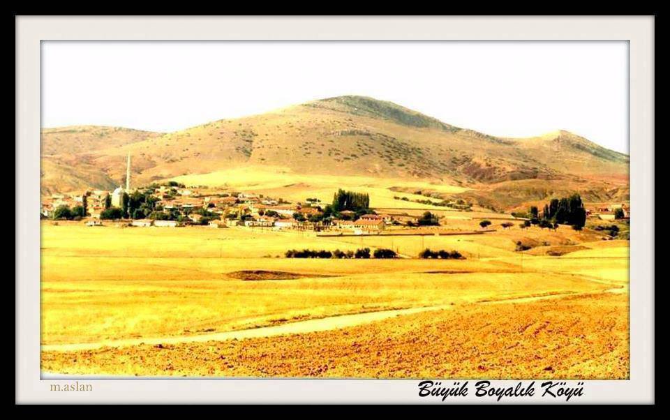 BUYUK BOYALIK KOYU BALA ANKARA | Facebook