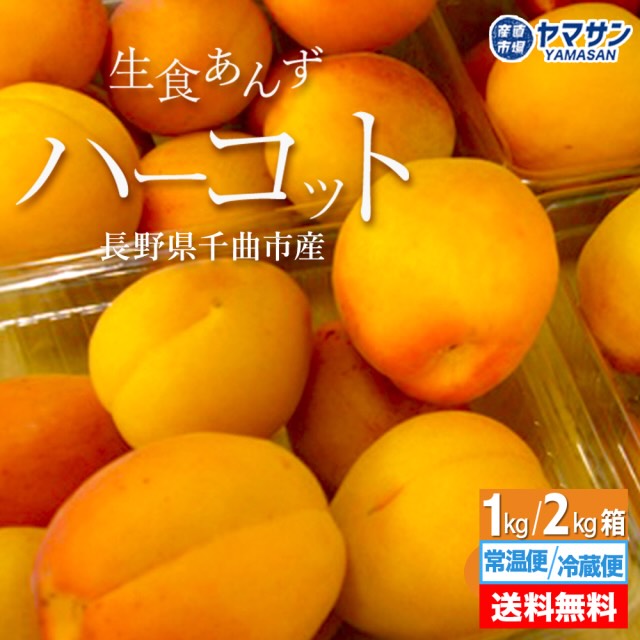 ✨2026年 信州産 生あんず✨／ 今年も産直市場ヤマサンの 「生あんず