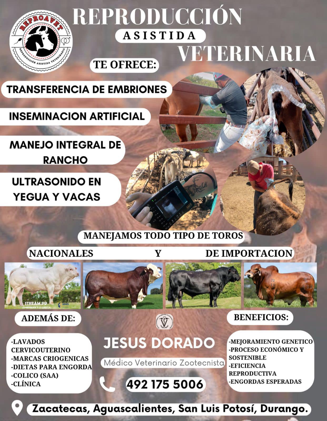 Reproducción Asistida Veterinaria
