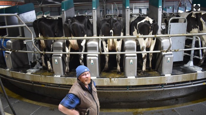 Gippsland Dairy... - Gippsland Dairy Professionals