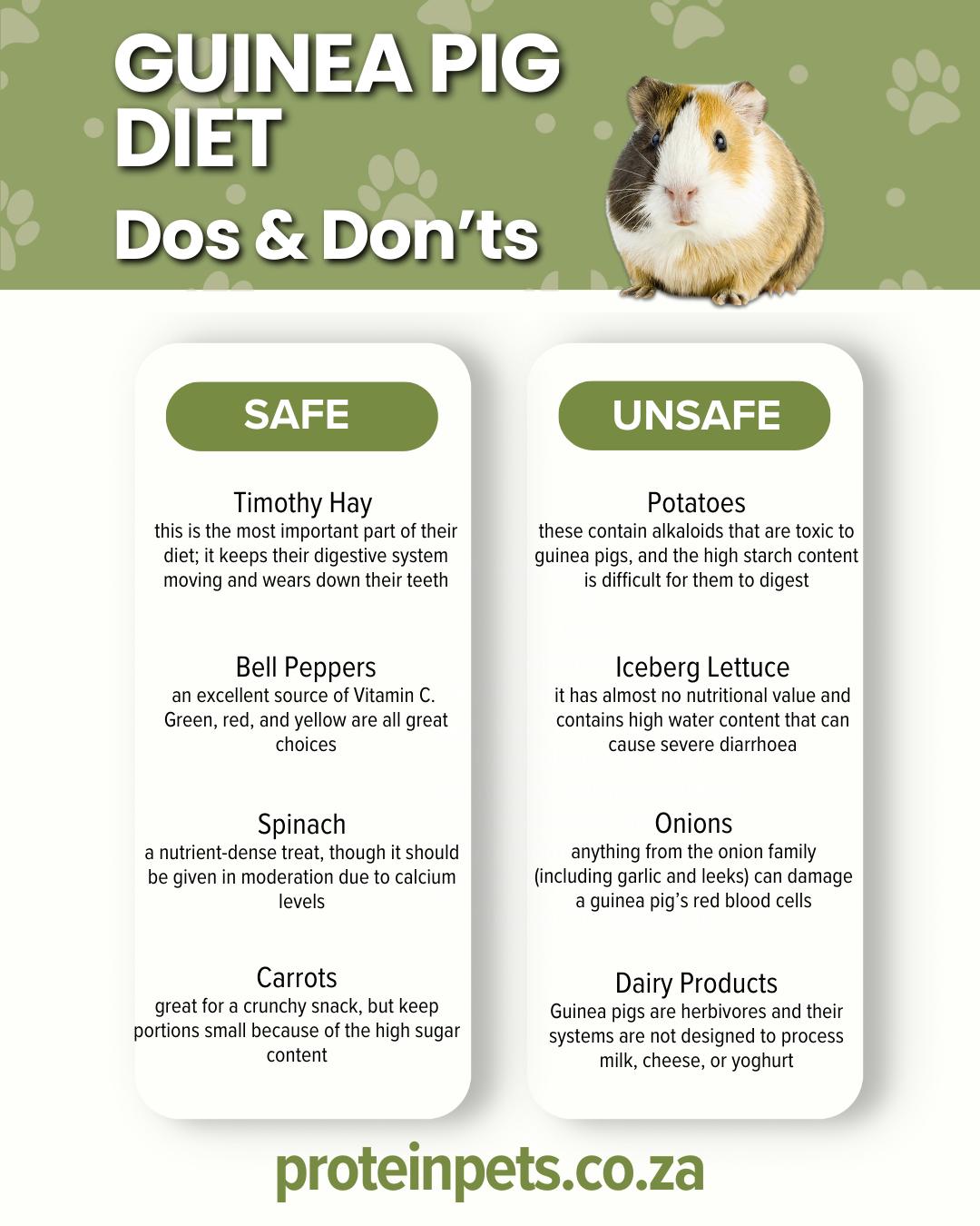 Image result for Protein Feeds Pet Foods