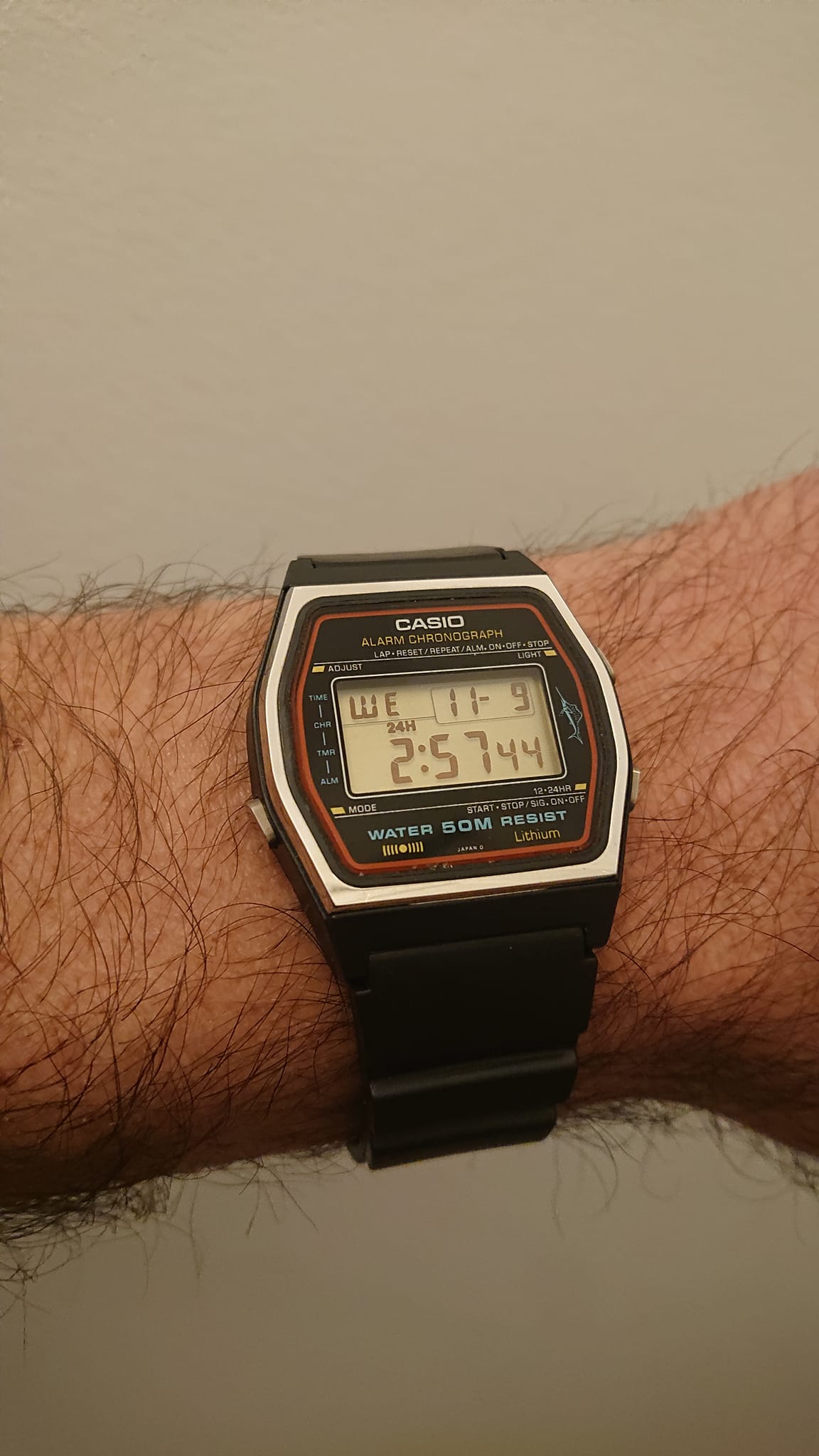 The thin red line. Ref. Casio Marlin W-25 Red Version Circa 1984