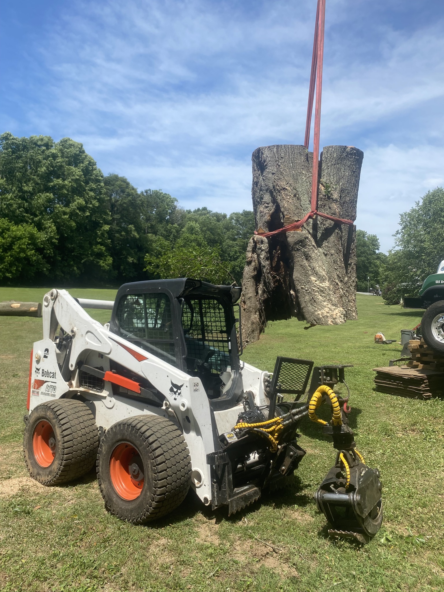 Southern Tree Solutions | Griffin GA