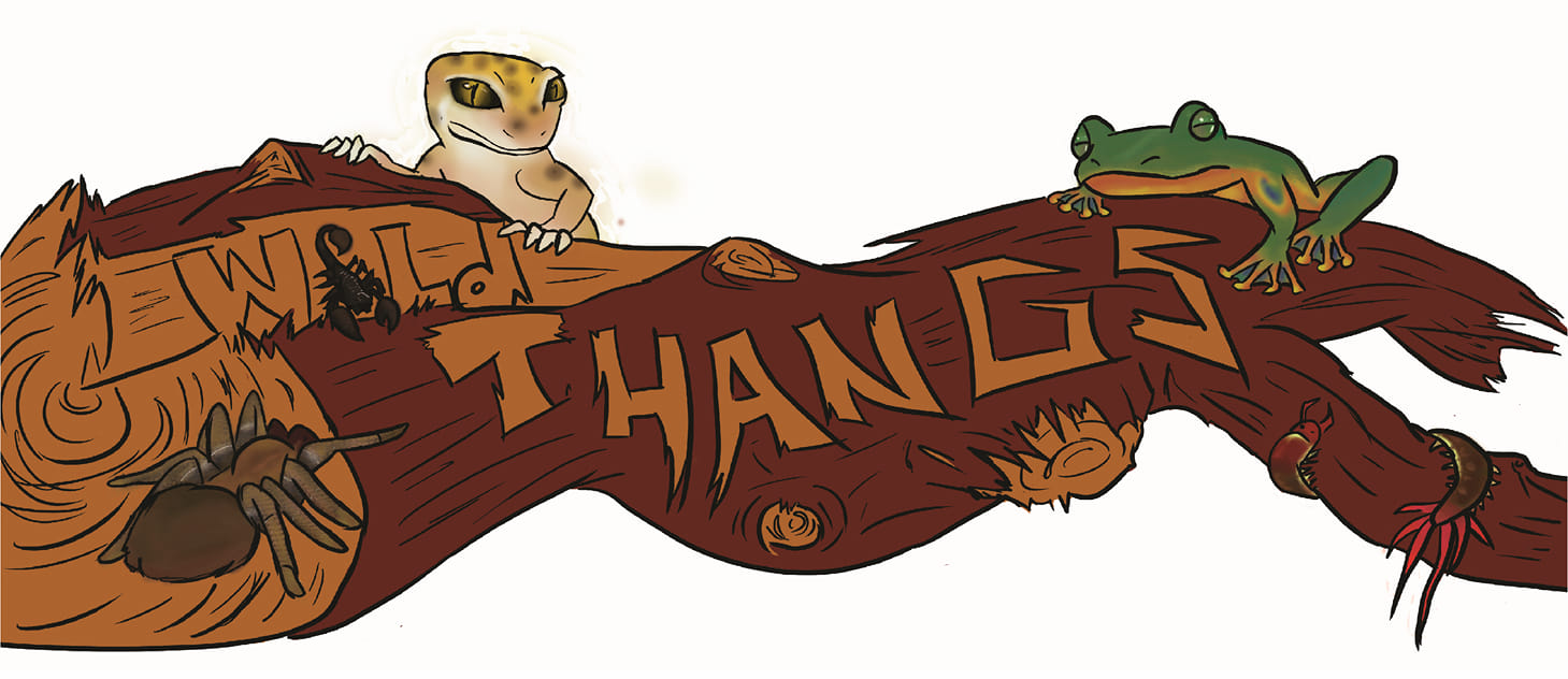 Wild Thangs