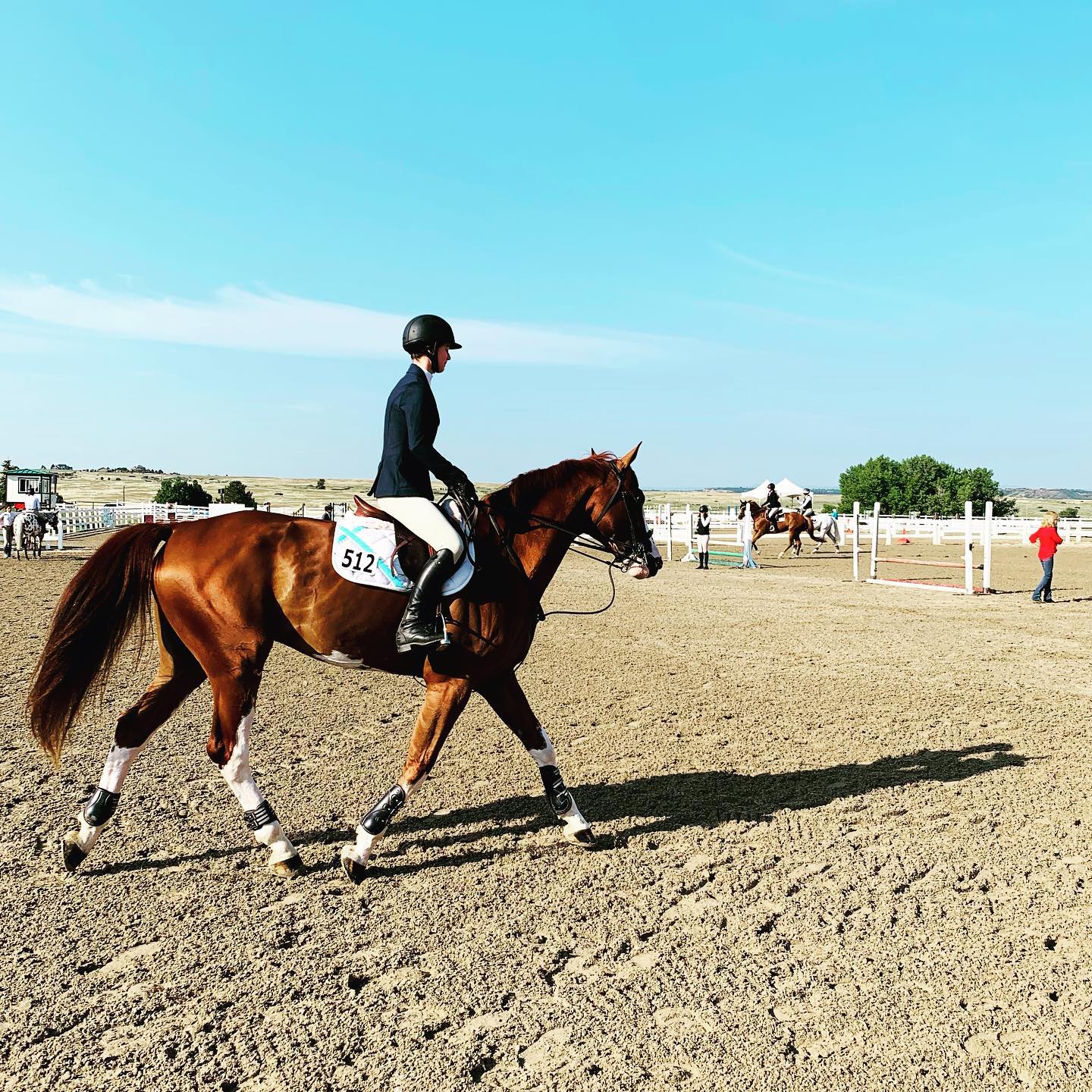 Manitou - Mitho aka Red White & Balou returns to the Colorado Horse ...