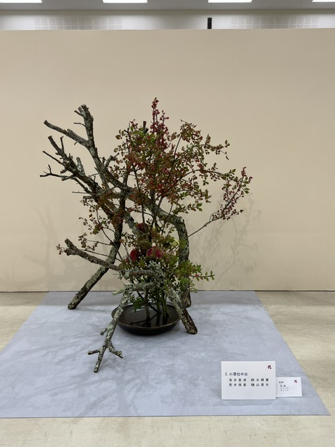 いけばな草月流 Ikebana - 第二代家元・勅使河原霞の代名詞とも言える
