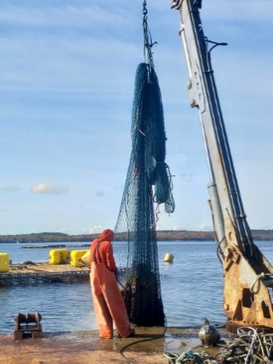 Foley Fish | New Bedford MA