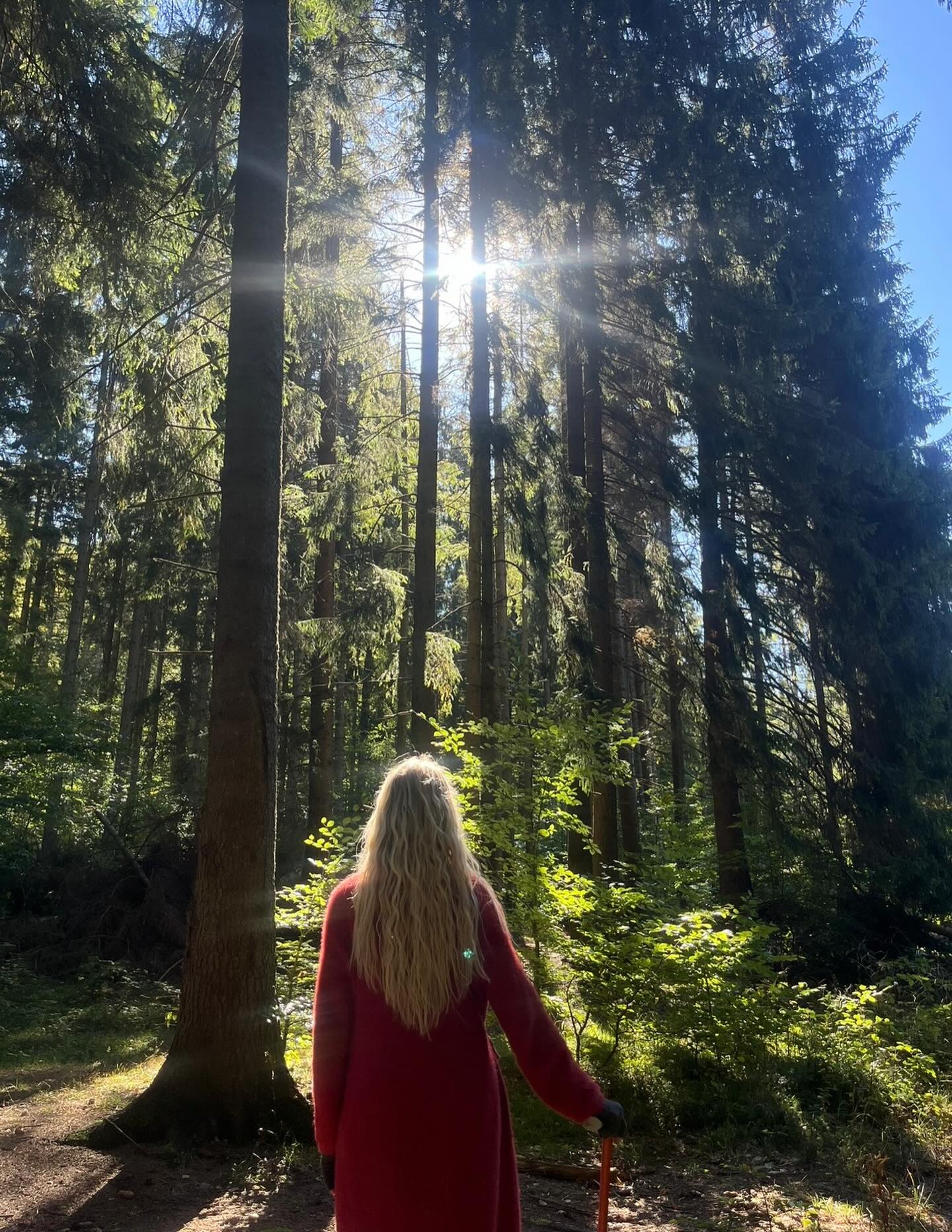 Fiona - MEET YOURSELF IN TRANSYLVANIA 10–22 September 2026 I am so ...