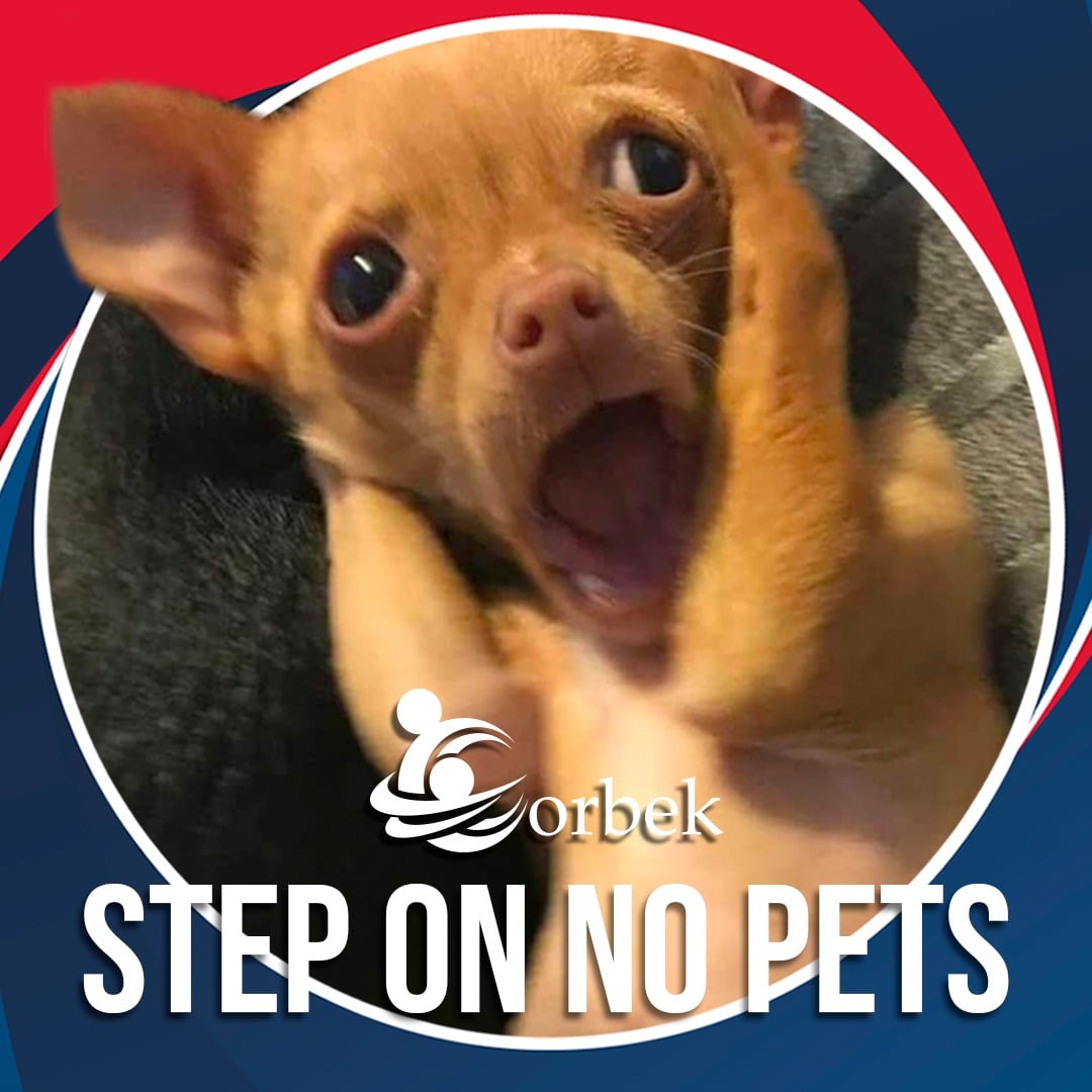 Corbek - 😱¡OH NO!😱 🤔Si step significa escalón, paso o...