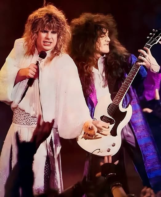 They Realized They Got Away With Something on 'Bark at the Moon