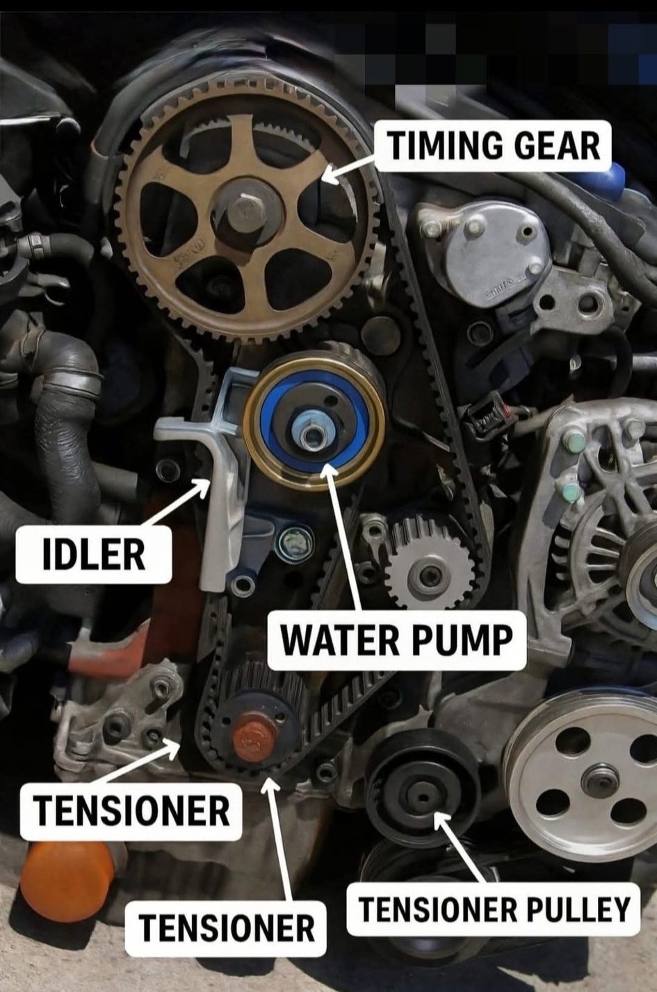 Kit De Distribución BOSCH Con Bomba De Agua Y Termostato Para Opel Astra, Corsa Y Vectra 1.2-1.6 | Correa, Tensor Y Termostato