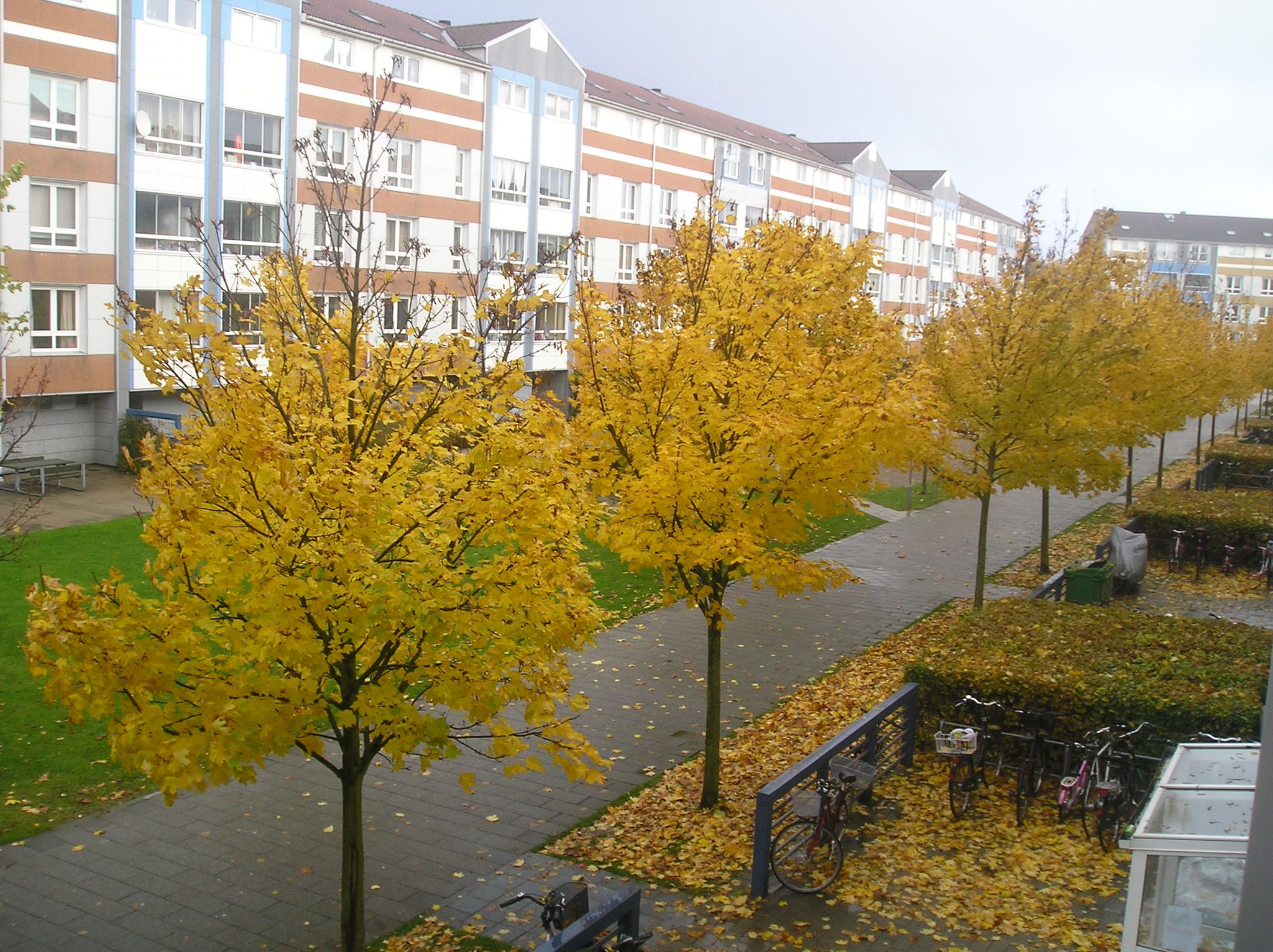 Berit Block Jensen
