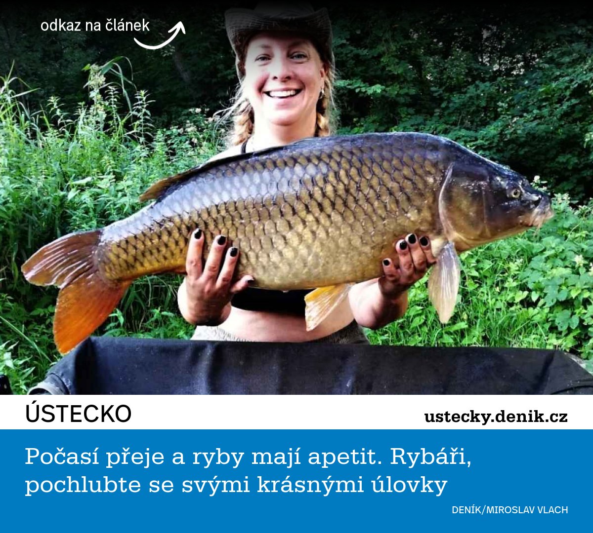 Ústecký - https://ustecky.denik.cz/zpravy_region/ryby-labe-ulovky-kapri ...
