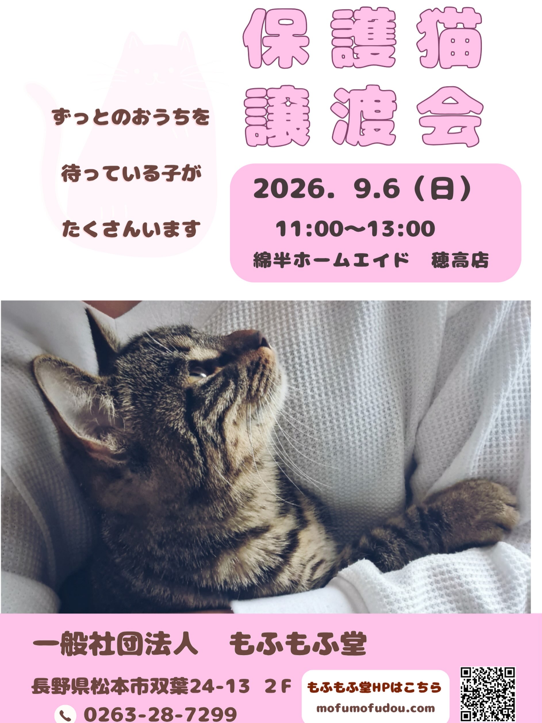 一般社団法人 もふもふ堂 ねこカフェもふもふ (@mofumofudou) • Facebook