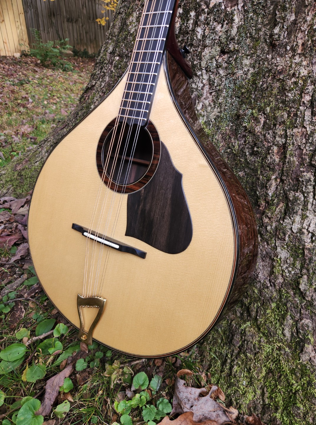 Draper Stringed Instruments