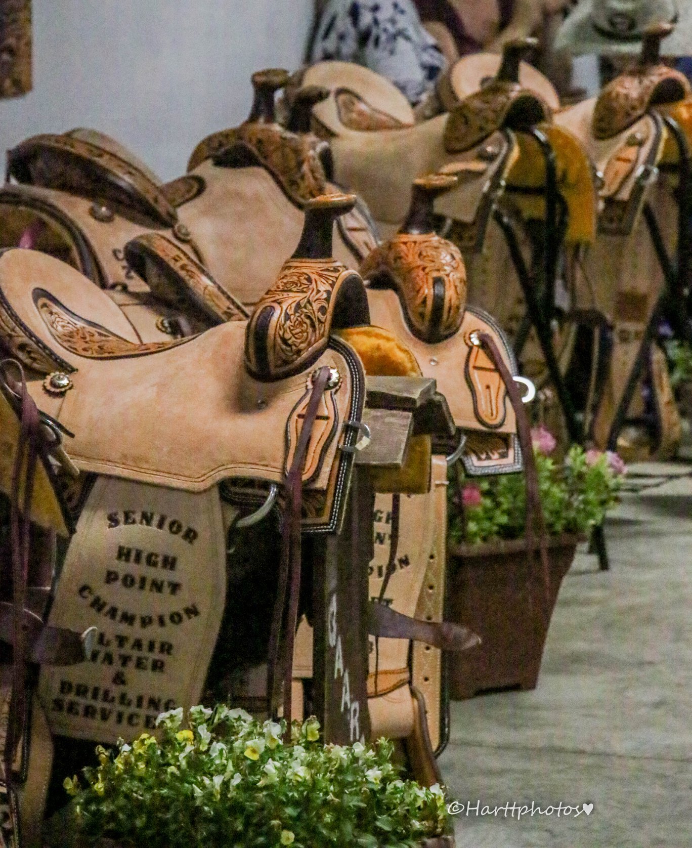 For copies... - CARA - Central Alberta Rodeo Association | Facebook