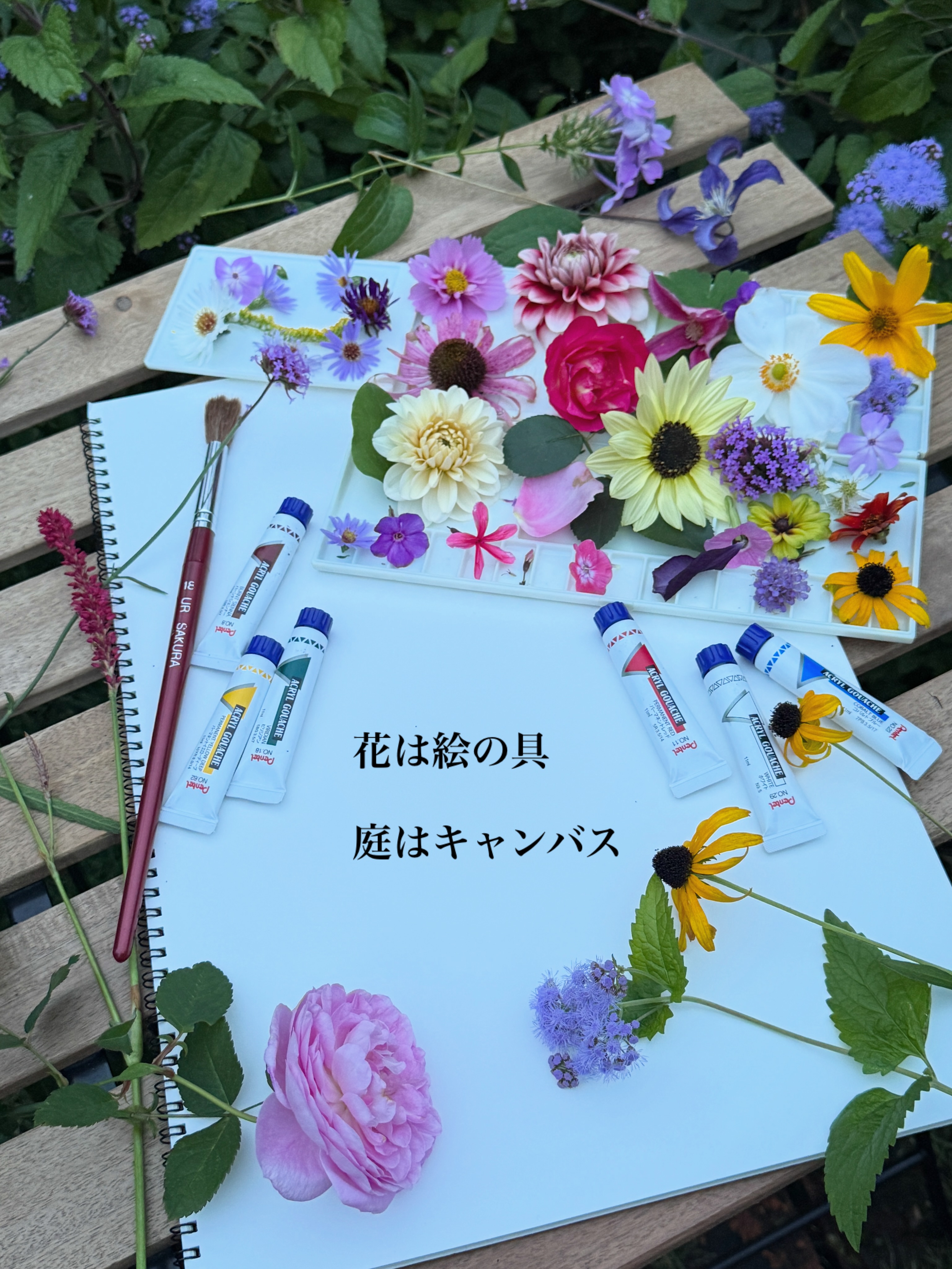 東江写生帳♢♢♢♢上 ✨生命ある野の花✨ 東江写生帳♢♢♢♢上