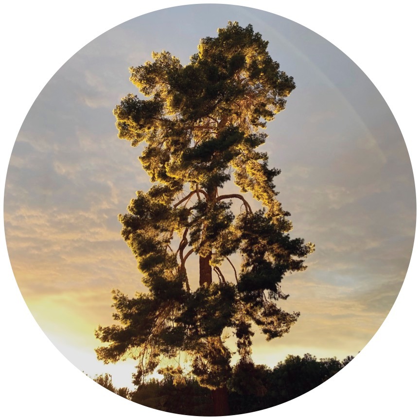 Watch the music video for Bon Iver’s new song “There’s A Rhythmn”. Link ...