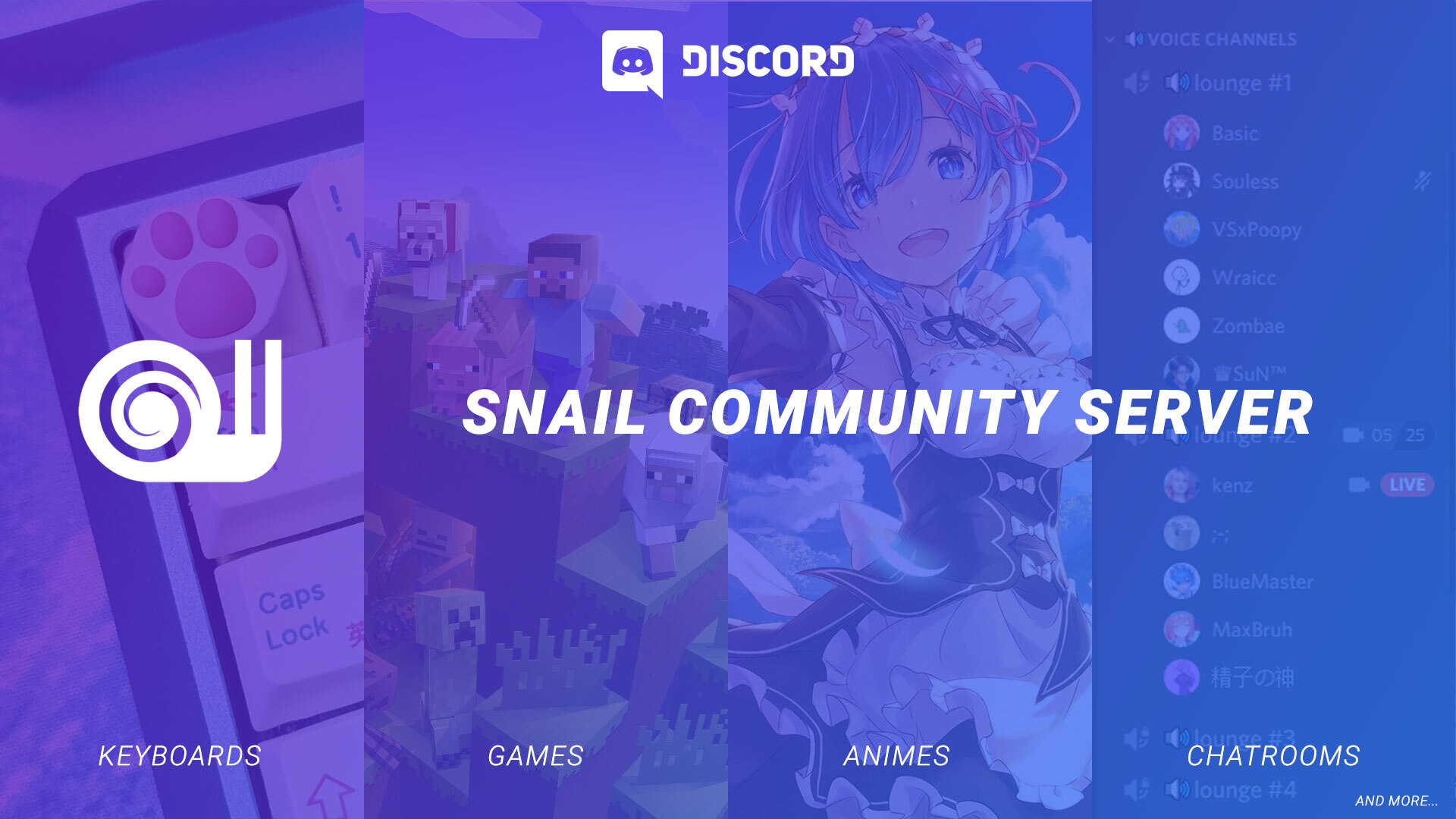 Snail Community