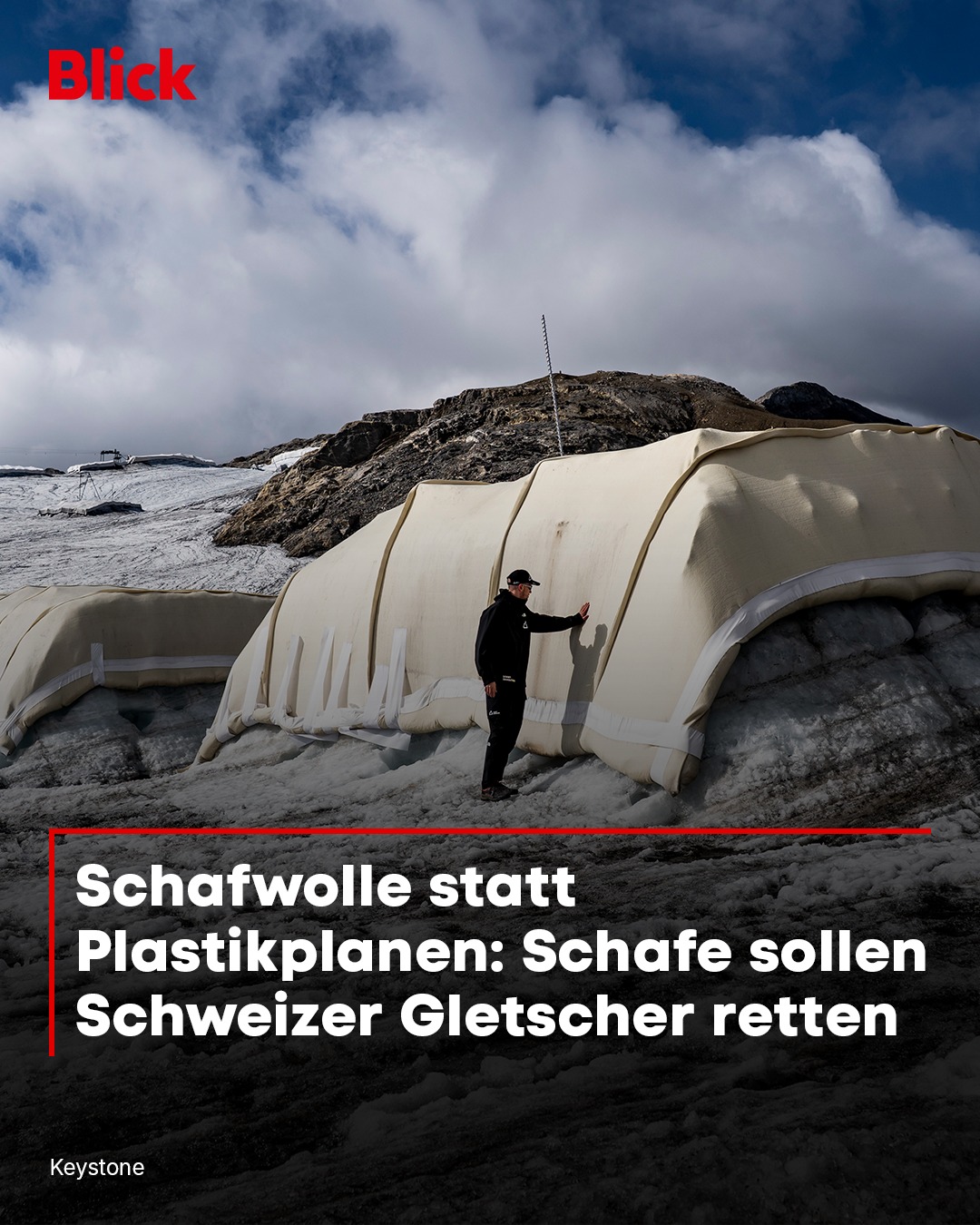 🏔️🐏 Schweizer Forscher setzen auf eine ungewöhnliche Waffe gegen die Gletscherschmelze: Schafwolle. Erste Tests zeigen, dass das Naturmaterial das Eis ähnlich gut schützen könnte wie Plastikplanen – u