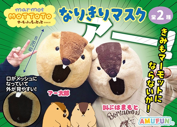 株式会社アミューズ - ≪2月の新商品 / New products in February