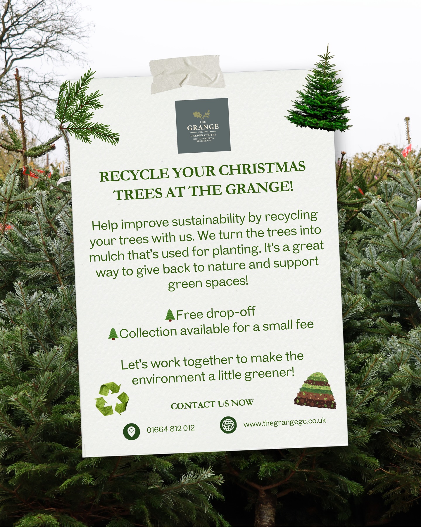 The Grange - Recycle Your Christmas Trees at The Grange!... | Facebook