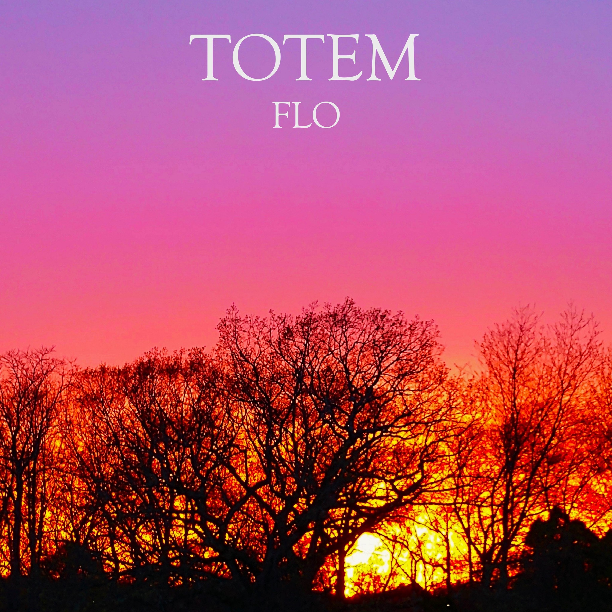 TOTEM - Coming Soon!!! The first release of 2026, please keep an eye ...