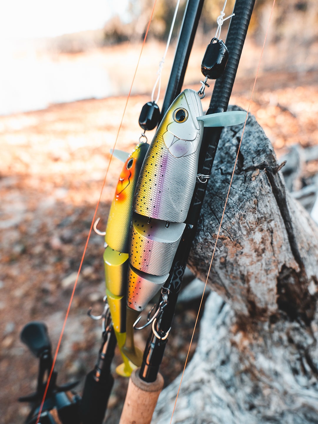 Daiwa - TD Zillion J Dream 6.3R-JD - the very last production ever