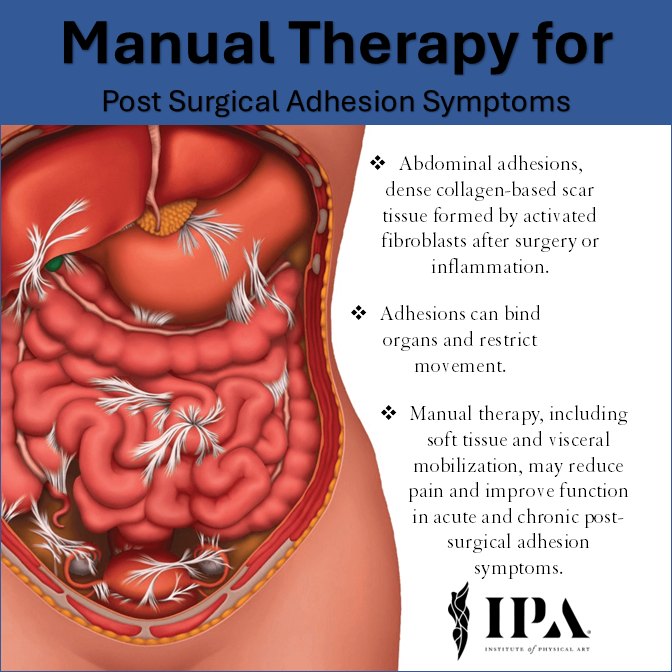 new-evidence-on-manual-institute-of-physical-art-facebook