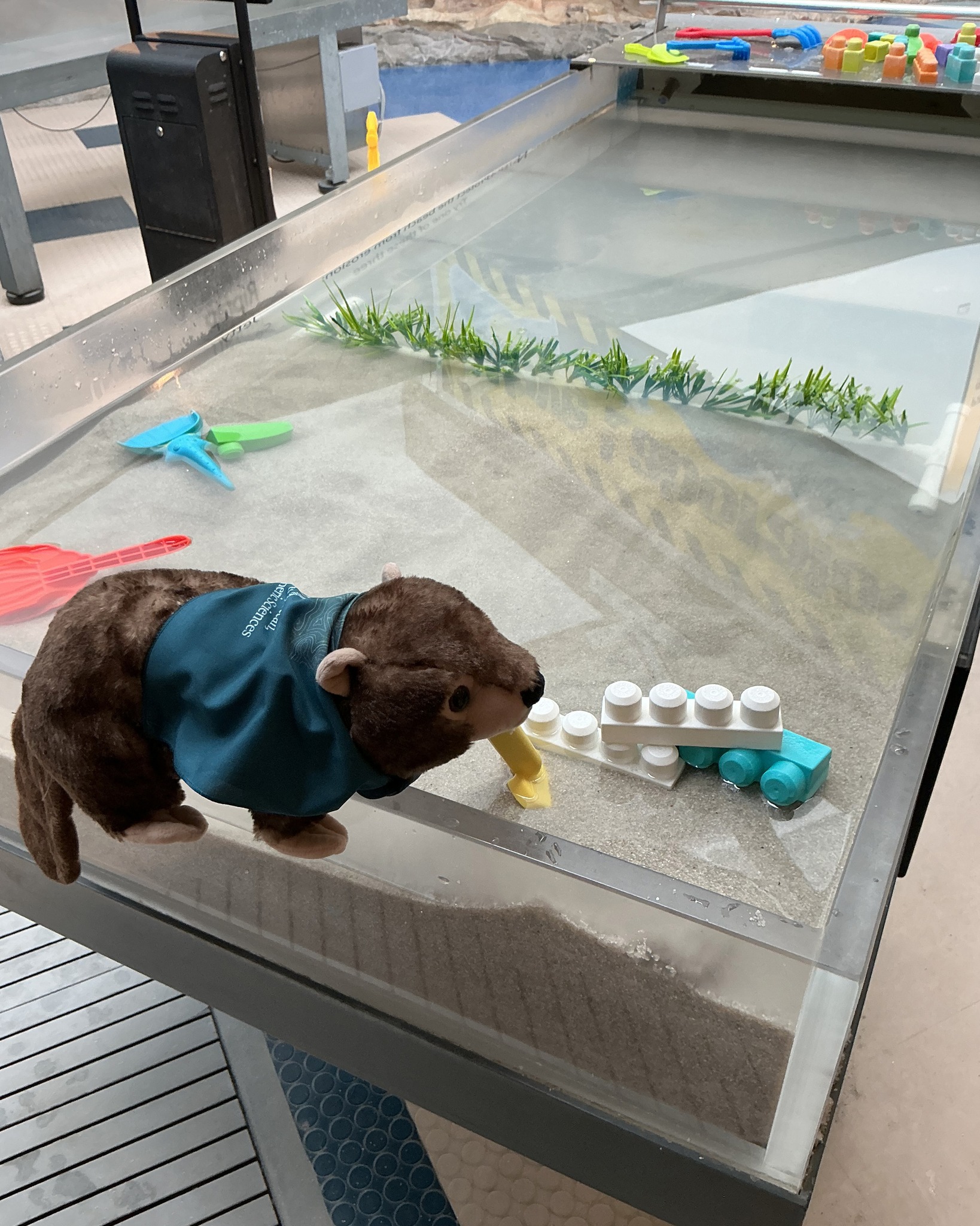 Hatfield Marine Science Visitor Center | Newport OR