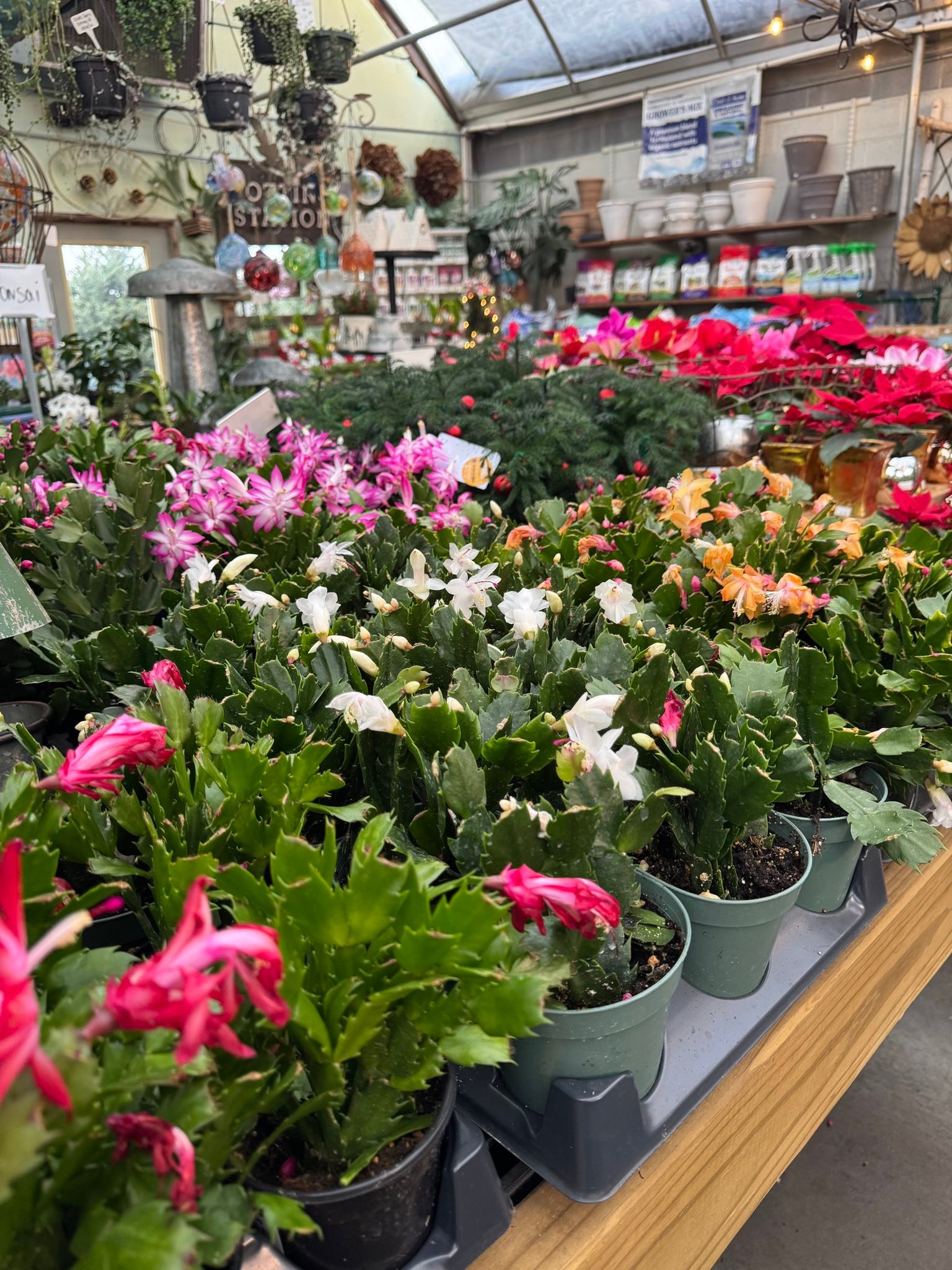Thress Nursery Gardens added a... - Thress Nursery Gardens