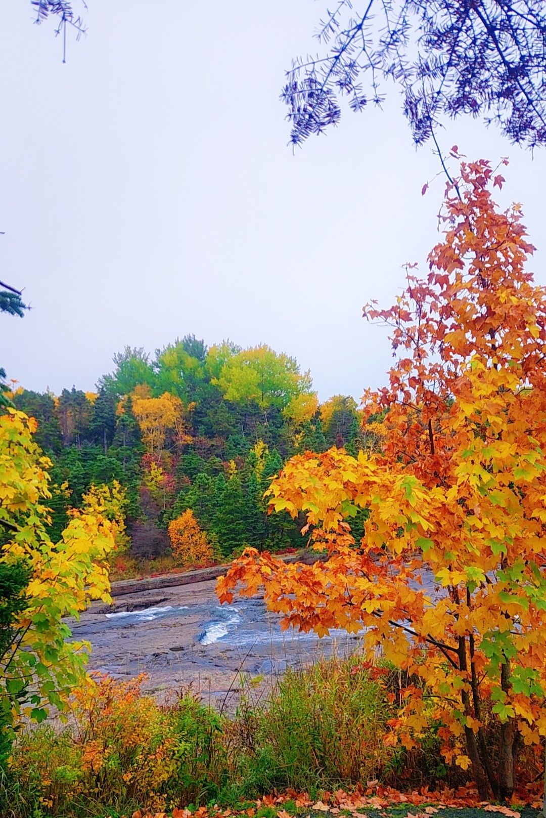 visitnewfoundlandlabrador | Fall Is Gorgeous 🧡🍂😊🍂🧡 in Newfoundland and ...